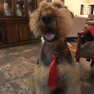 Meet your Posher, Eric